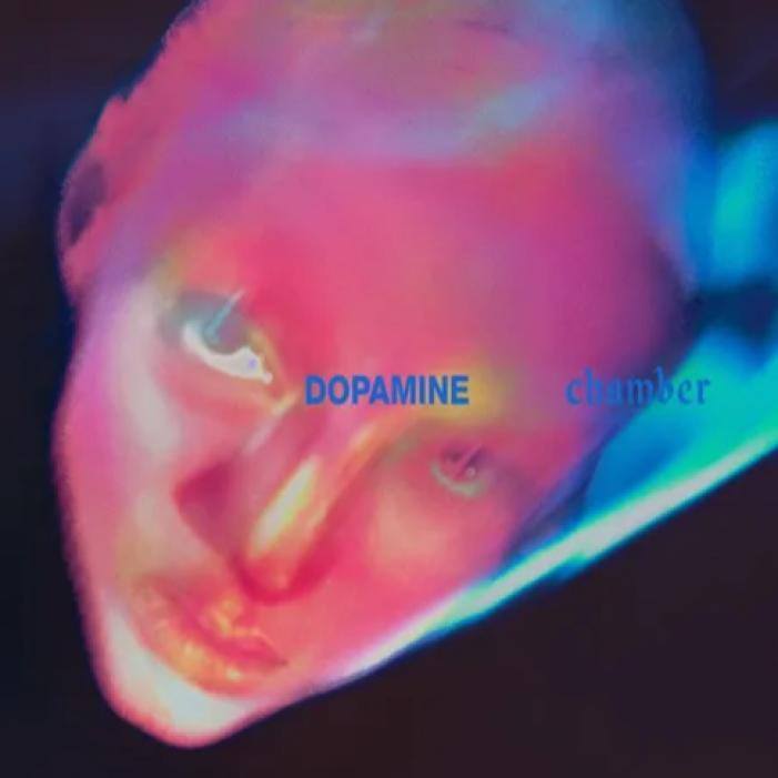 fontaines dc 26.png